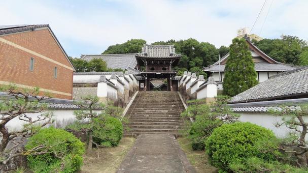 隨念寺　鐘楼門　参道 隨念寺,神社仏閣,寺の写真素材