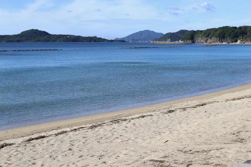 萩の海 萩の海の写真