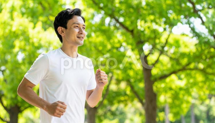 公園でジョギングをする笑顔の日本人男性 人物,男性,夏の写真素材