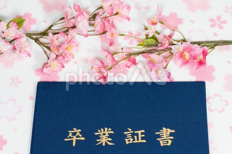 桜と卒業証書入れ 桜,春,卒業の写真素材