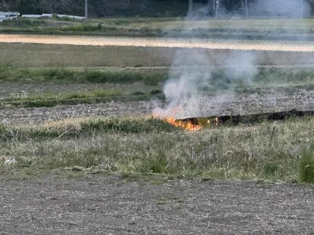 Photo, field burn, bank, natural, 
