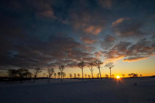 日の出の空に染まる広大な冬の牧場 日の出,雪原,牧場の写真素材