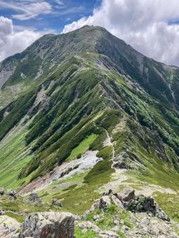 夏の悪沢岳へ登山45 中岳への稜線 夏の悪沢岳へ登山45 中岳への稜線 南アルプス,悪沢岳,荒川岳の写真素材