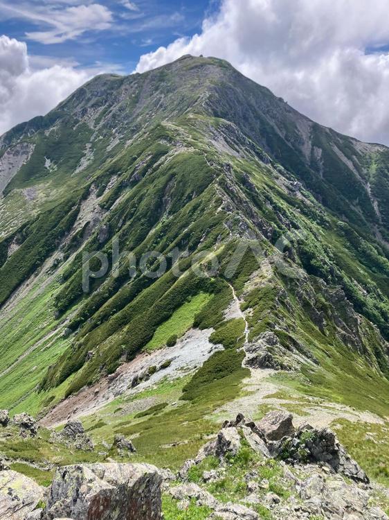 夏の悪沢岳へ登山45　中岳への稜線 南アルプス,悪沢岳,荒川岳の写真素材