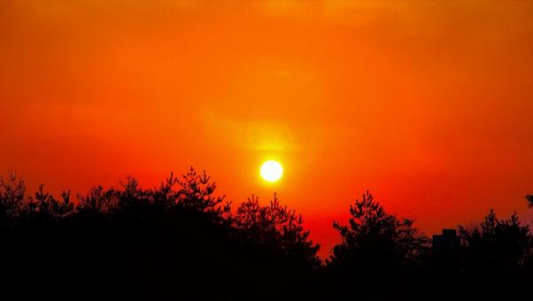 Photo, natural, evening grass, sunset, 