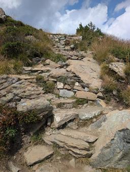 登山道 登山道の写真