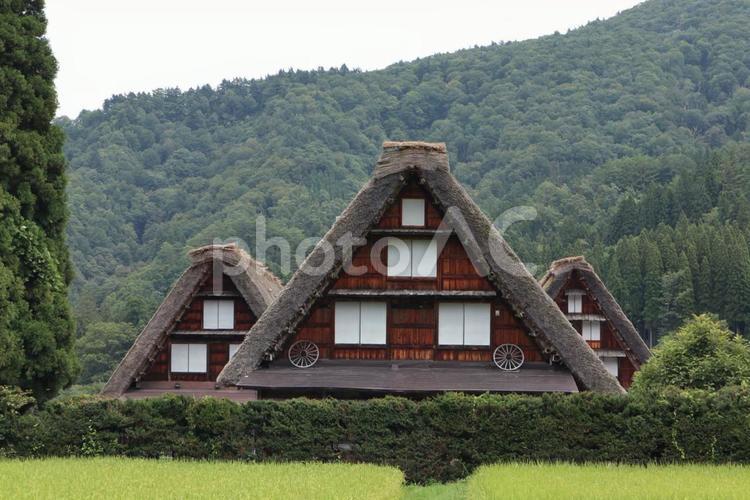 合掌造りの家 風景,合掌造り,風情の写真素材