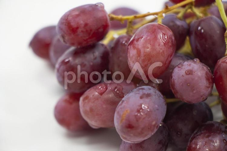 ぶどう  クリムゾン ブドウ,クリムゾン,果実の写真素材