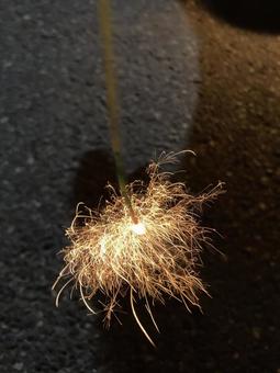 線香花火 線香花火 夜,花火,線香花火の写真素材
