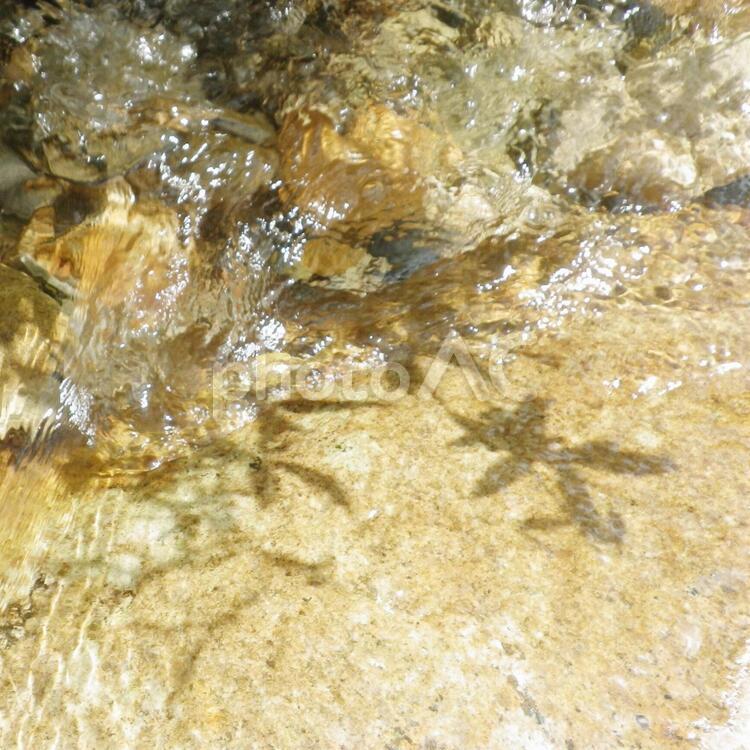 透き通った美しい川の、美味しいきれいな水の風景４ ＃きれいな水,＃清水,＃涼しげの写真素材