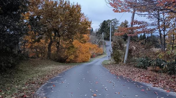 魚沼スカイラインの紅葉 魚沼スカイライン,紅葉,護国観音苑の写真素材