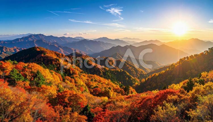 紅葉に染まったモミジの林と山と秋空 モミジ,紅葉,秋の写真素材