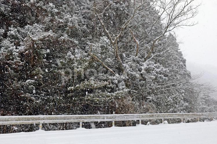 水墨画のような三瀬の山と旧国道 大雪,雪野原,雪化粧の写真素材