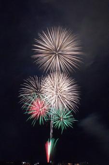 25年長岡まつり 花火 25年長岡まつり 花火の写真