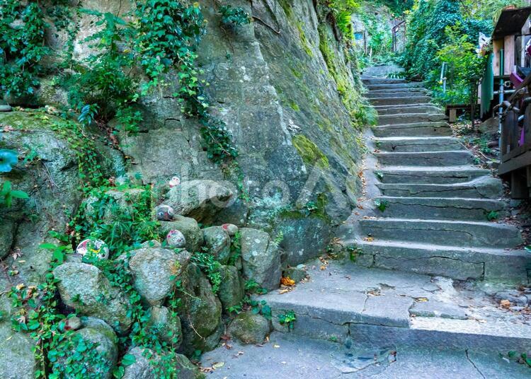 猫の細道の風景 猫の細道,猫,細道の写真素材