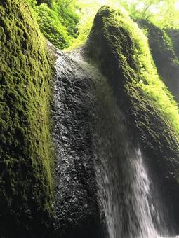 滝 滝の写真