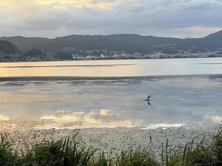 諏訪湖 諏訪湖,湖,諏訪の写真素材