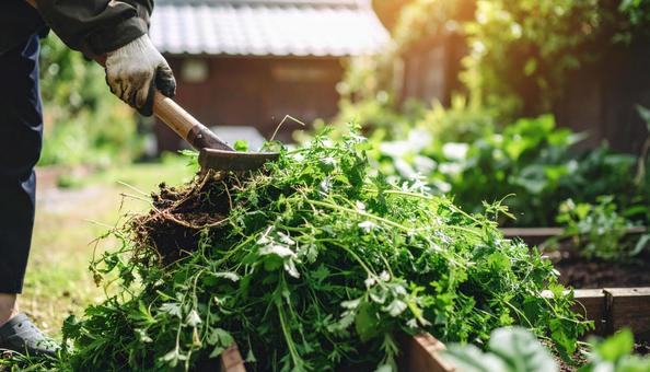 庭で草むしりしてまとめられた雑草の山 庭で草むしりしてまとめられた雑草の山の写真