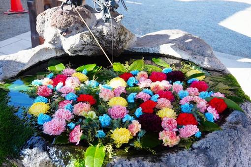 花手水 花手水の写真