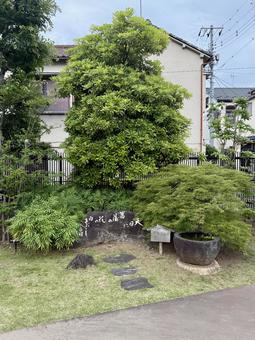 堀切菖蒲園 堀切菖蒲園 草,灯籠,灯の写真素材