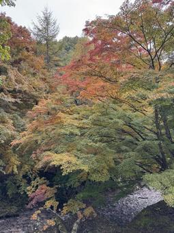 晩秋の牛伏川フランス式階段工の写真