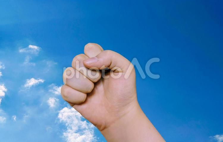 青い空を背景に掲げられた拳 握る,拳,手の写真素材