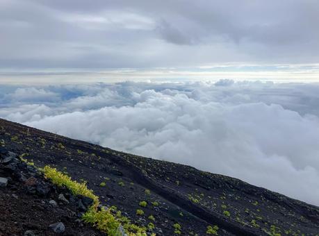 富士山五合目付近の雲海 富士山五合目付近の雲海 富士山,五合目,森林限界の写真素材