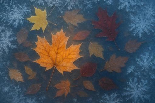 氷上の紅葉群の写真