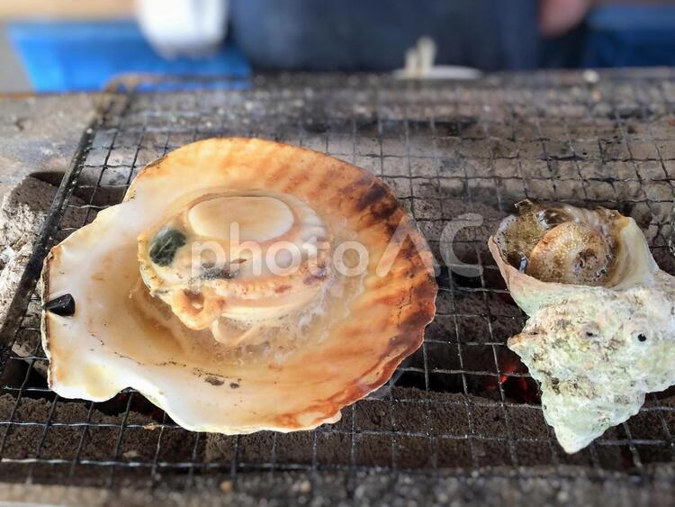 ホタテとサザエの炭火焼 食べ物,磯,海の写真素材