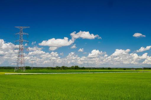 鉄塔のある風景ー夏⑺の写真
