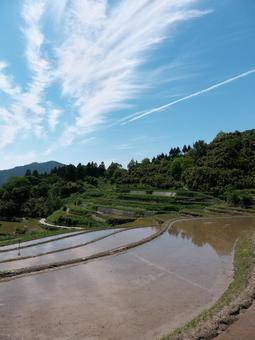 棚田の田植えと青い空 棚田の田植えと青い空の写真