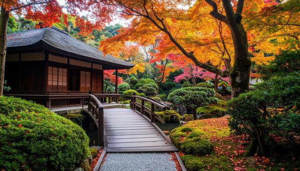 秋の紅葉 秋の紅葉の写真