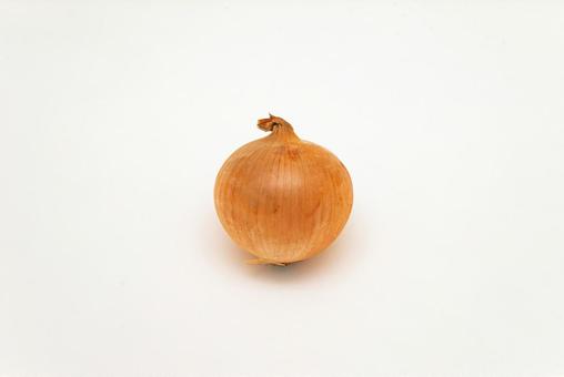 玉ねぎ 玉ねぎの写真