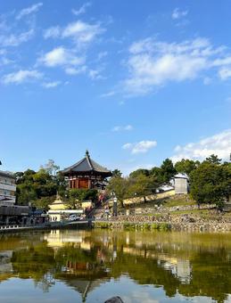 猿沢池と興福寺 興福寺,八角堂,猿沢池の写真素材
