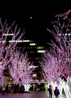 ゆ ゆの写真