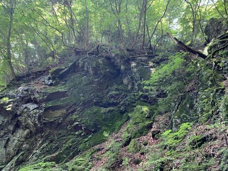 苔むした岩壁と深い森が広がる渓谷 岩壁,苔,森林の写真素材