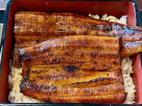 香ばしく焼けた特上うな重 香ばしく焼けた特上うな重 うなぎ,蒲焼き,タレの写真素材