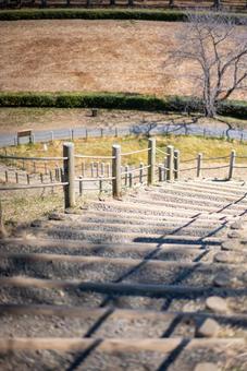 見下ろす公園の木製階段 公園,階段,坂道の写真素材