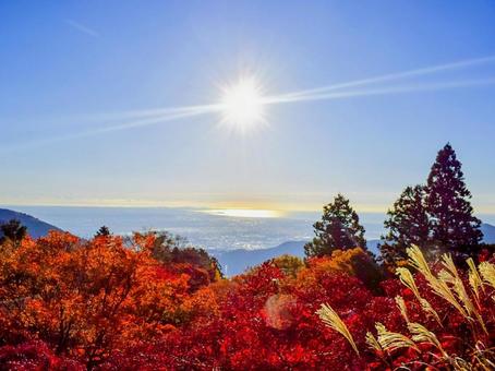 大山阿夫利神社からの眺望と紅葉 大山,阿夫利神社,丹沢の写真素材