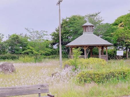 公園 公園 公園,自然,風景の写真素材