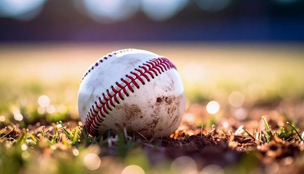 野球ボール 野球ボールの写真