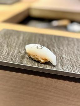 しんいか しんいかの写真