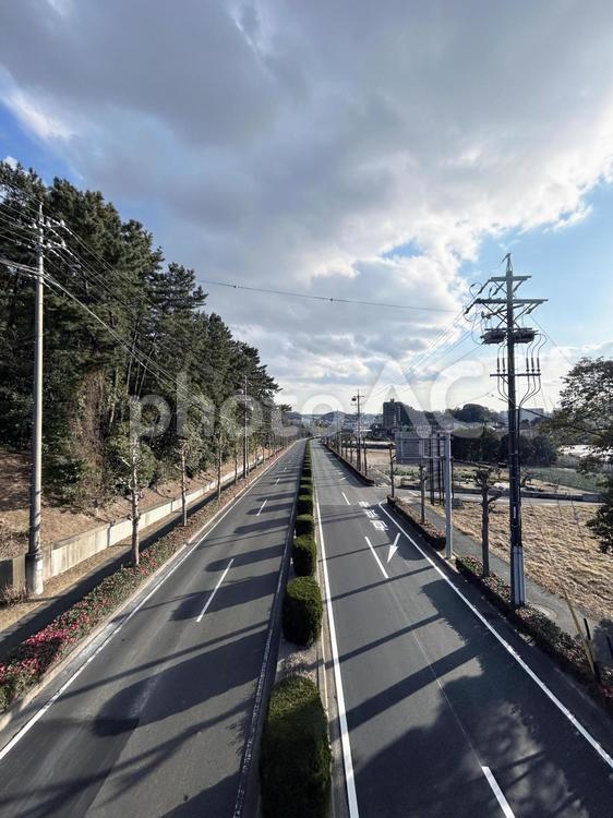 道路と電柱と木々と空模様 道路,道,車道の写真素材