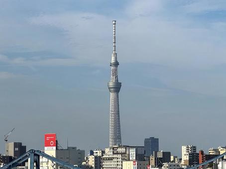 東京スカイツリー 東京スカイツリーの写真
