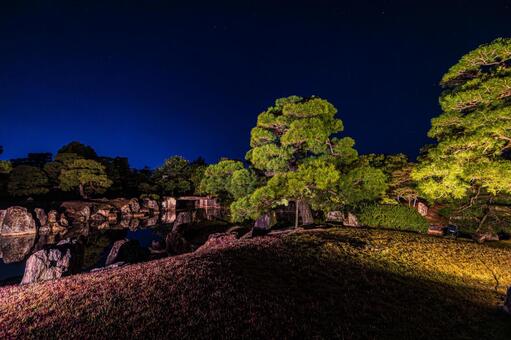 紅葉風景 紅葉風景,京都,二条城の写真素材