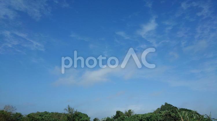 気持ちの良い青空と雲と緑の草木 空,雲,草木の写真素材