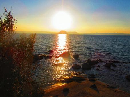 脇に生える雑草と光の道 夕日,雑草,光の道の写真素材