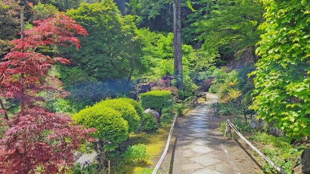 秩父34観音 32番 法性寺 新緑の参道 法性寺,般若山,参道の写真素材