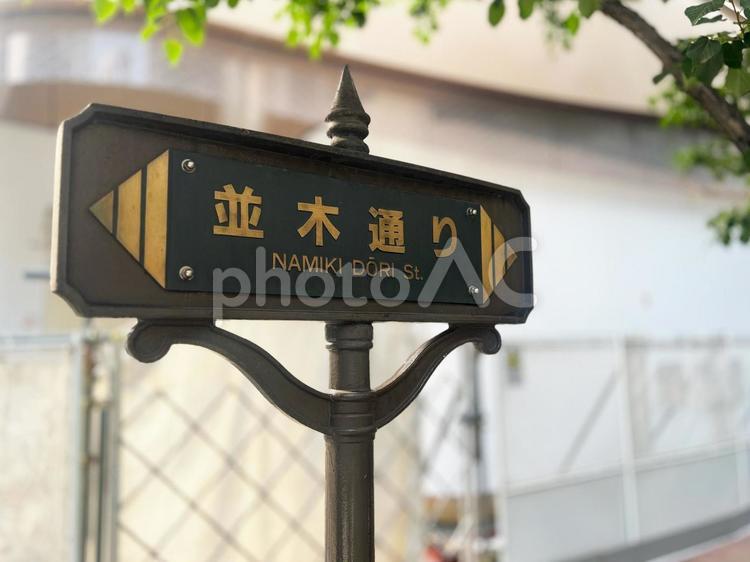 銀座の通りの看板（並木通り） 道路,街並み,看板の写真素材