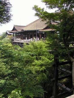 京都 清水寺 京都 清水寺の写真